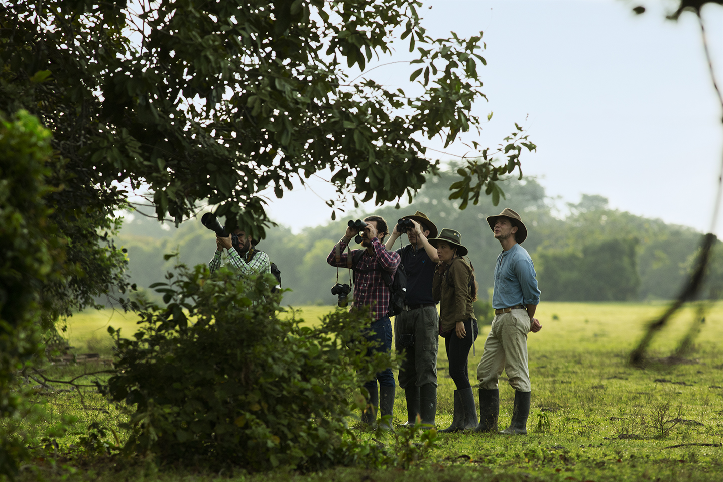 Birdwatching - Corocora Camp - Wildlife in Colombia