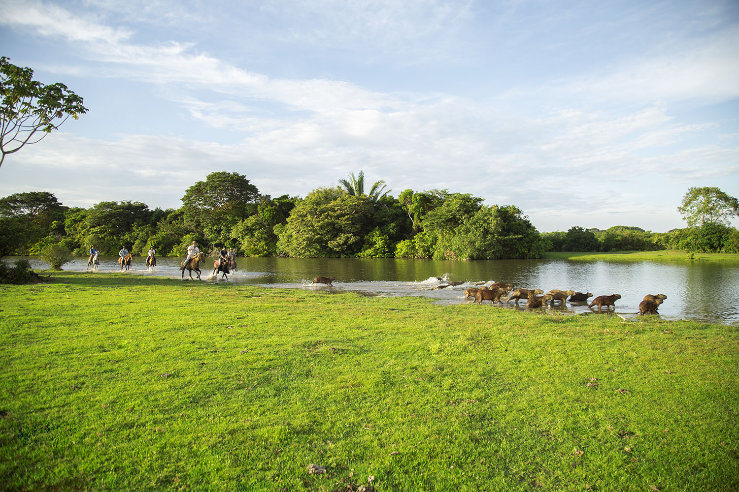 Corocora Wildlife Camp in Colombia