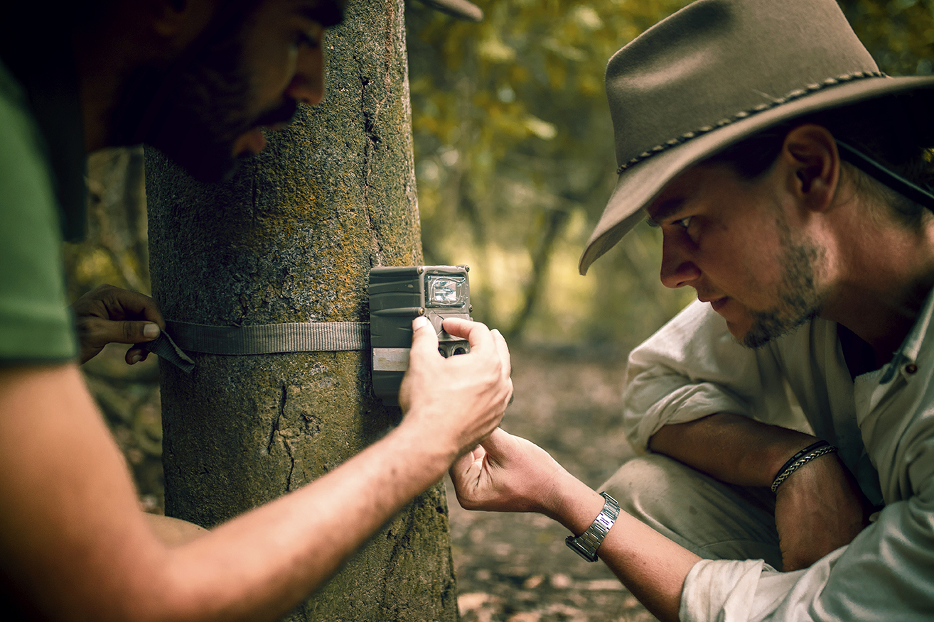 Conservation of Wildlife in Colombia - Camera Trapping